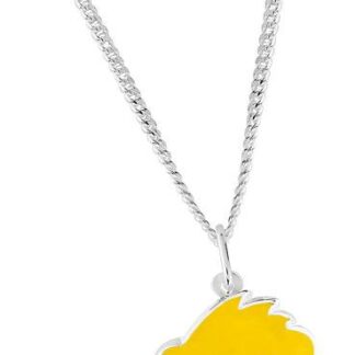 Laatukoru, Lastenklinikoiden kummit Ry -hopeariipus