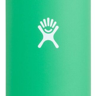 20oz Wide Mouth, Flex Cap Mint