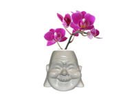 Onnellinen Buddha -vaasi