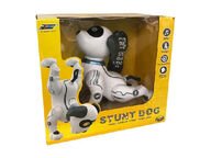 Stunt Dog Temppukoira