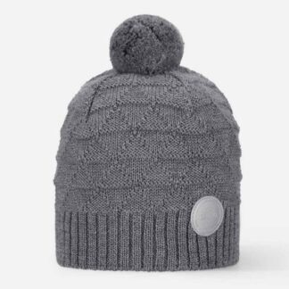 Longevity Beanie Harmaa 5658