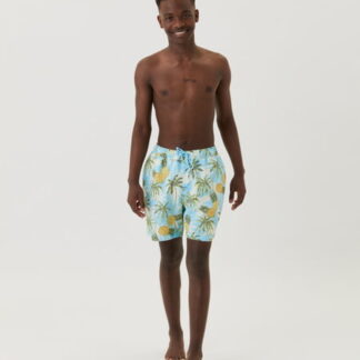 Borg Print Swim Shorts