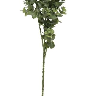 4Living Eukalyptus oksa tekokasvi 73 cm