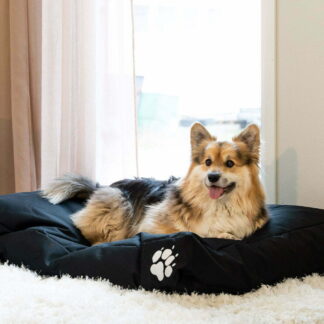 Kamu koiranpeti 120x80 cm musta