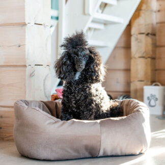 Kuutti koiranpeti beige