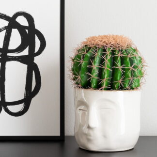Anopinjakkara kaktus 26 cm tekokasvi ruukussa