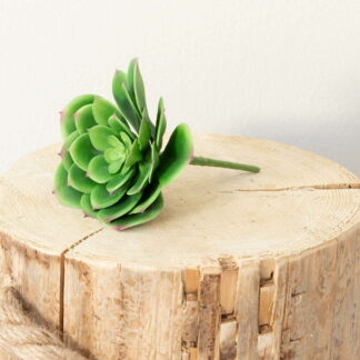 Mehitähti Echeveria tekokasvi vihreä