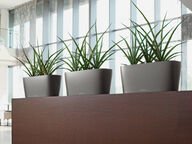 Lechuza Delta 20 altakasteluruukku, hopea (All-in-One)