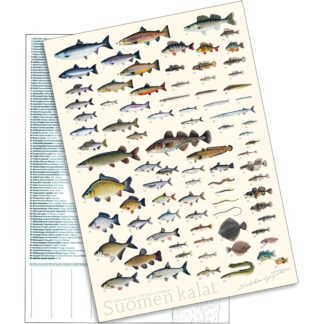 Sakke Yrjölä Suomen Kalat A4 kortti