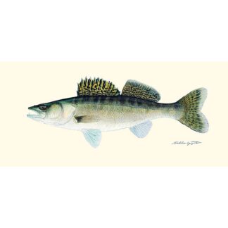 Sakke Yrjölä Kuha juliste