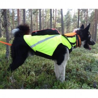 Kevlar-liivi koiralle, Kardog (XL)