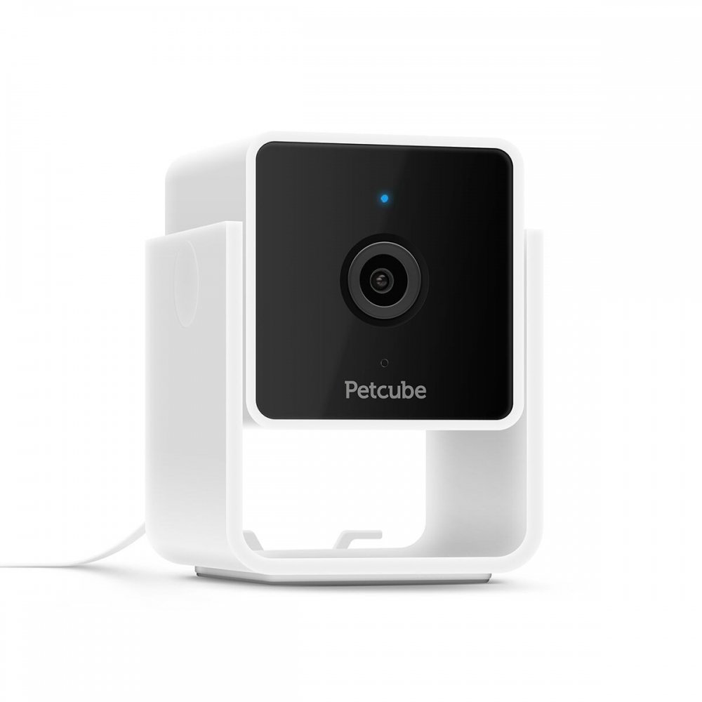 Petcube Cam lemmikkikamera kotiin