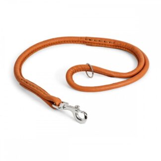 Nahkainen näyttelyhihna Show Dog, 60 cm (Vaaleanruskea)
