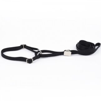 Näyttelyhihna Show Dog pk, musta (10 mm x 110 cm)