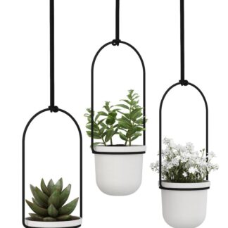 Umbra Triflora roikkuva kukkateline pieni valkoinen/musta