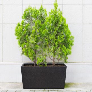 4Living Patio termoruukku 76 cm musta