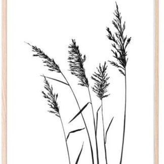 Kaverini Heinät juliste 50x70 cm