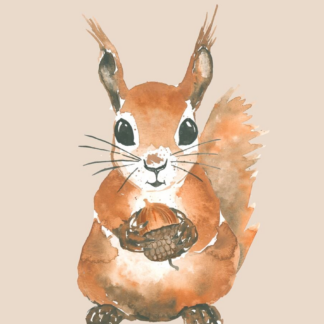 Kaverini Orava ja tammenterho juliste 30x40 cm