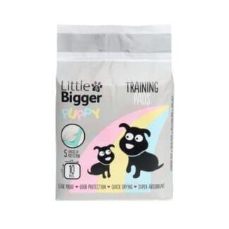Little&Bigger Puppy Basics Pentualusta koiralle 10kpl 60x60cm