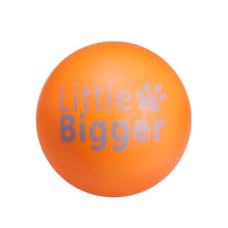 Little & Bigger HotSummer kumipallo
