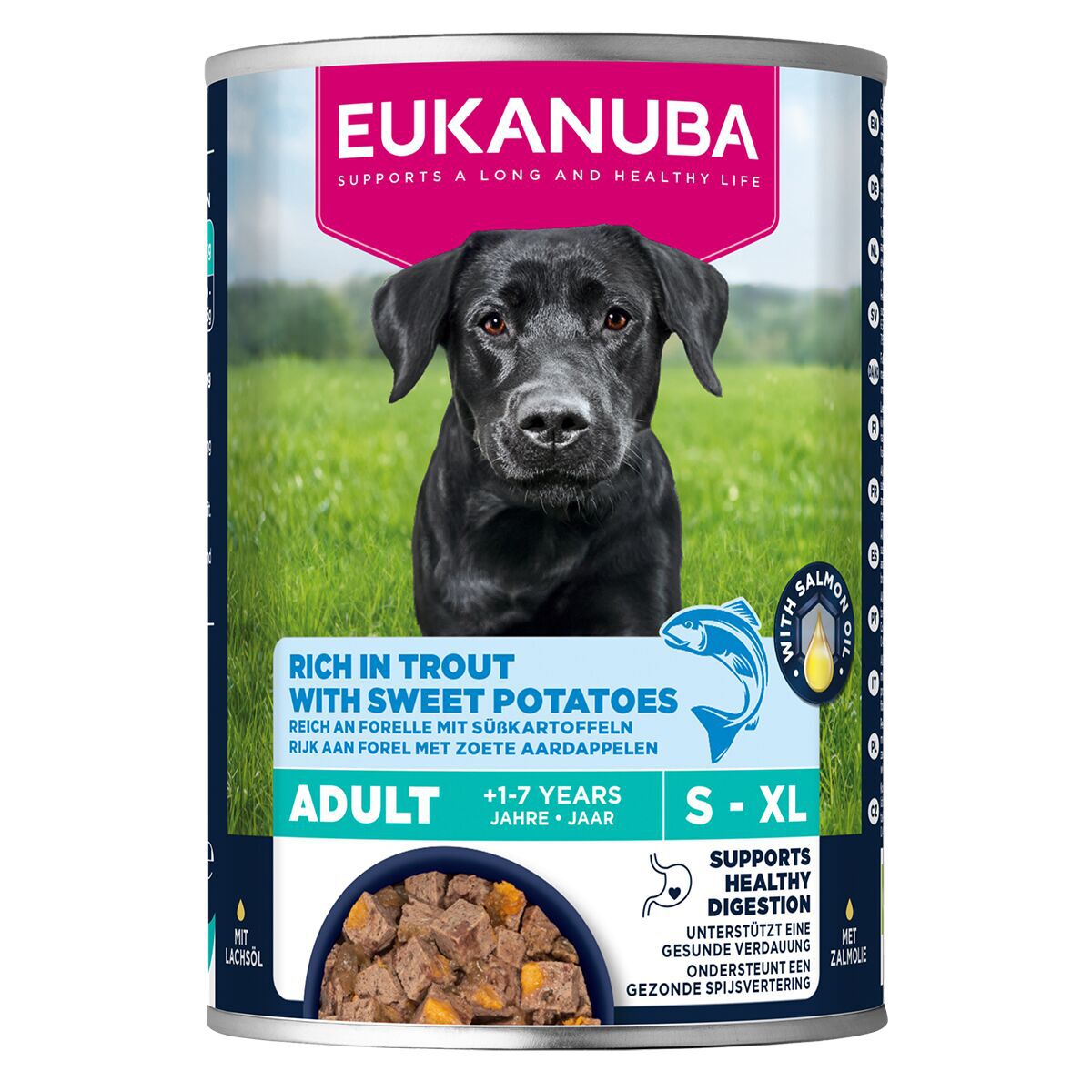 Eukanuba Dog Wet Adult Taimen & Bataatti 400 g