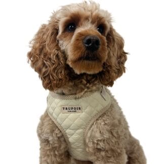 Trufois Lite -valjaat, Latte Beige