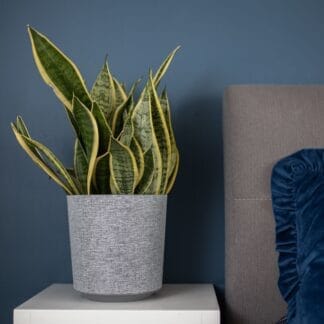 4Living Gama Textil ruukku Ø25 cm harmaa