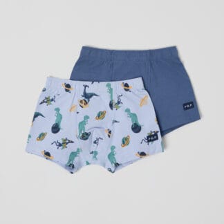 Bokserit dinosaurus 2-pack