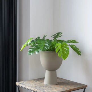 House Nordic Monstera jättipeionlehti tekokasvi 45 cm