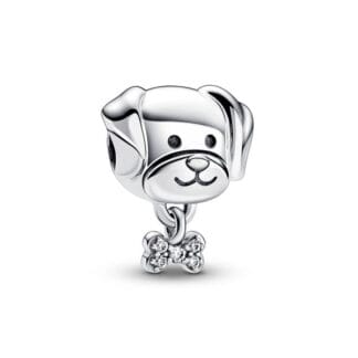 Pandora Moments Pet Dog & Bone hela, hopea, 792254C01