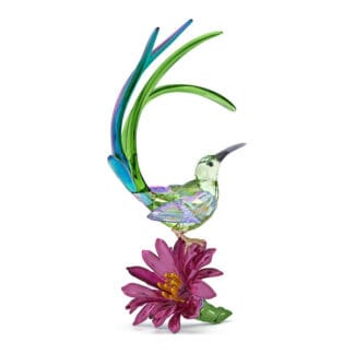 Swarovski Idyllia Sugarbird and Cactus Flower -kristallikoriste 5675166