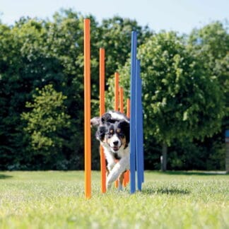Agility pujottelueste Trixie 12 keppiä