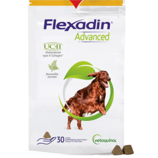 Flexadin Advanced Purutabl kpl