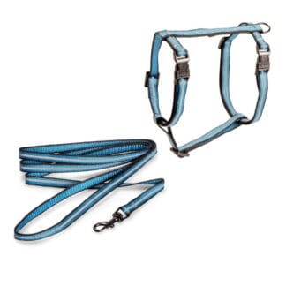 Kissan valjassetti Basic Reflective