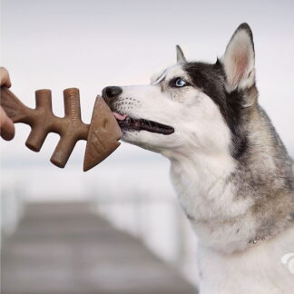 Benebone Fishbone
