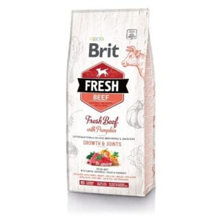 Brit Fresh Beef&Pumpkin PuppyLarge