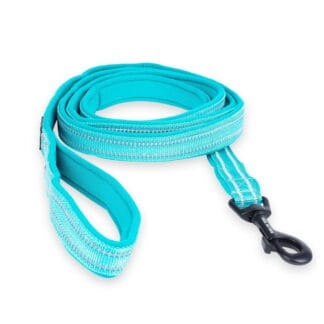 Talutushihna Feel Active Padded, turkoosi