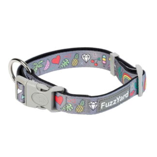 FuzzYard koiran kaulapanta Coachella