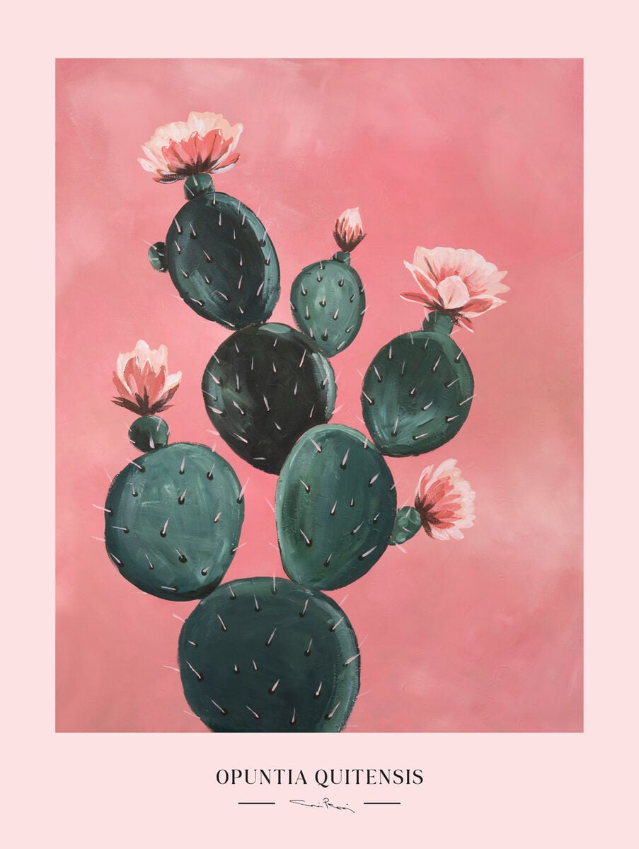 Kaverini Kaktus juliste 50x70 cm