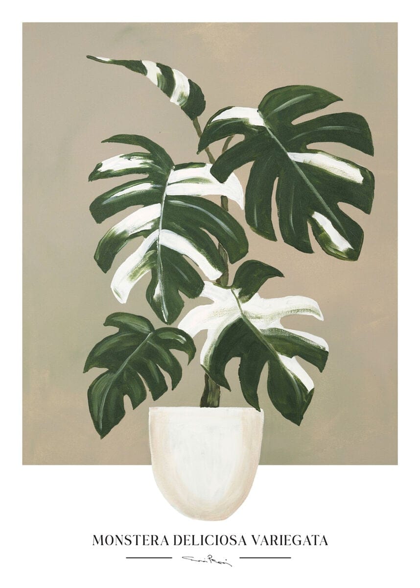Kaverini Peikonlehti juliste 30x40 cm