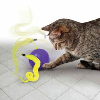 KONG Cat Whirlwind aktivointilelu