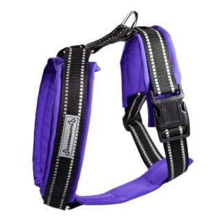 Kusse&Kutta-koiran valjaat softshell-pehmusteella, violetti