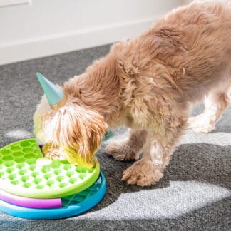 Aktivointilelu Nina Ottosson Lickin' Layers Food Puzzle
