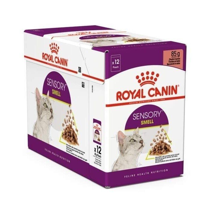 Royal Canin Sensory Smell Gravy, 12x85g