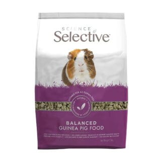 Science Selective Guinea Pig