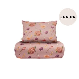 Whispers -Pussilakanasetti Junior | Rosy