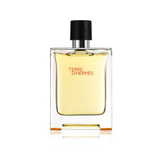 Hermes Terre D'Hermes Edt Spray - Mies - 100 ml