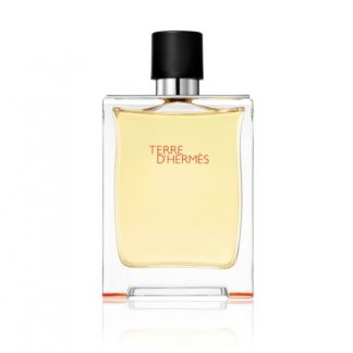 Hermes Terre D'Hermes Edt Spray - Mies - 200 ml
