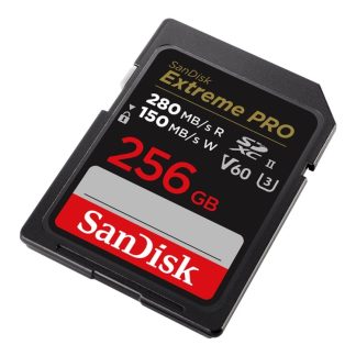 SanDisk SDSDXEP-256G-GN4IN