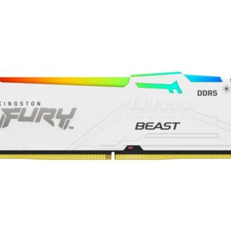 Kingston Technology FURY Beast RGB